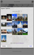 LDS Temple Puzzles screenshot 4