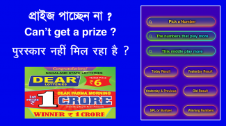 Lottery Master Pro Dear Result screenshot 0