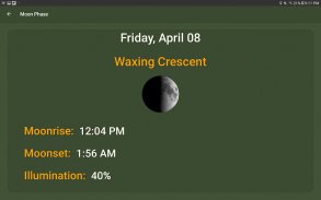 What The Forecast screenshot 23