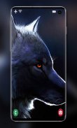Wolf Wallpaper screenshot 3