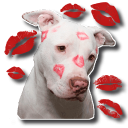 🐶 Sticker chiens pour Whatsapp - WAStickerApps Icon