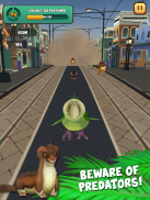 Kakapo Run: Animal Rescue Game screenshot 14