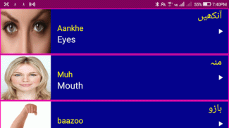 Learn Urdu From English screenshot 4