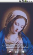 Virgin Mary LWP Free screenshot 4