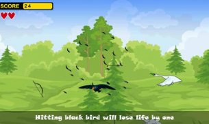 Birds hunting screenshot 3