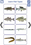 Fish Types | Goldfish Saltwate screenshot 11