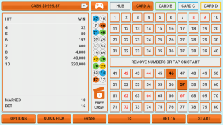 Colorful Keno: Las Vegas Casino Keno 4 Card Keno screenshot 12