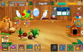 Bird Land: Zooladen Spiel, spiele mit einem Vogel screenshot 1