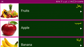 Learn English From Urdu screenshot 5