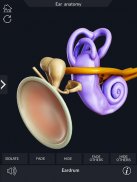 Ear Anatomy Pro. screenshot 4