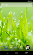 Grass Live Wallpaper screenshot 2