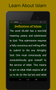 Introduction to Islam screenshot 9