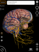 Anatomy 3D Atlas screenshot 11