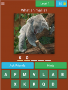 wich animal am I? screenshot 12