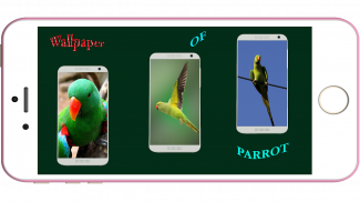 Parrot Wallpaper HD screenshot 15