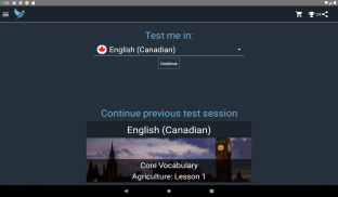 Canadian English Tests screenshot 4