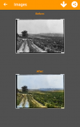 Black and White Photo Colorizer - Chromatix screenshot 2