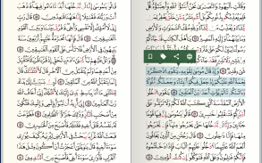 Quran - Qaloon screenshot 8