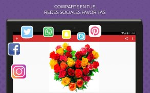 Rosas de Colores para Enamorar screenshot 8