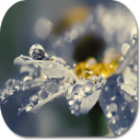 Rain HD Wallpapers Icon