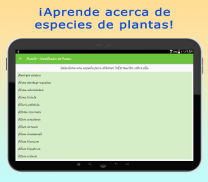 PlantID - Identifica Plantas screenshot 5