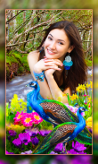 Peacock Photo Frames Garnish screenshot 2