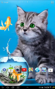 Cat Live Wallpaper screenshot 16