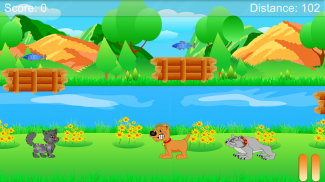 Cat and Dogs screenshot 4