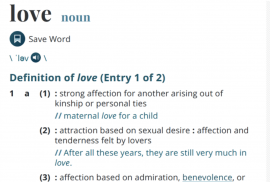 Merriam-Webster Dictionary And Thesaurus screenshot 4