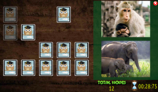 All Animals Pairs Memory Game screenshot 9