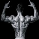 Shoulder Transformer Workout