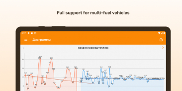 Fuelmeter: Fuel consumption screenshot 8