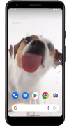 Dog Licks Screen Wallpaper screenshot 0