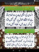 Aqwal e Hazrat Ali RA (Aqwal-e-Zareen) screenshot 2