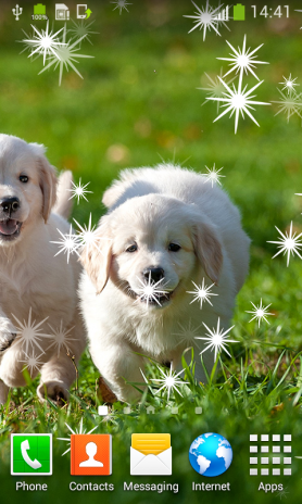 44+ Wallpaper anak anjing golden retriever update