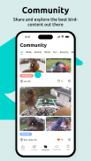 Birdfy screenshot 1