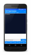 TCP Telnet Terminal screenshot 1