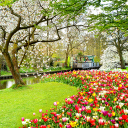 Beautiful Garden Wallpaper Icon