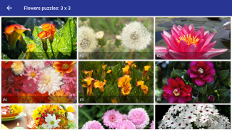 Tile Puzzle: beautiful flowers screenshot 3