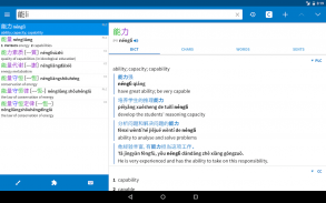 Pleco Chinese Dictionary screenshot 8