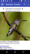 Bird Data - Ecuador screenshot 1
