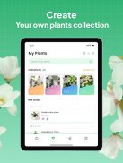 LeafSnap - Plant Identification screenshot 11