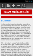 İslam Ansiklopedisi screenshot 4