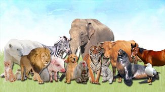 Animals for Kids - APK Download for Android