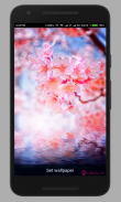 Spring Live Wallpaper screenshot 4