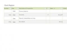 Income Statement Templates screenshot 8