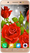 Red Rose Wallpaper 4K screenshot 13