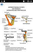 Anatomy Flashcards screenshot 1