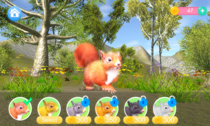 Talking Squirrel screenshot 4