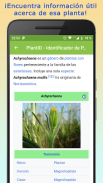 PlantID - Identifica Plantas screenshot 7